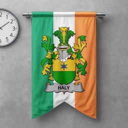 ScotsTee Shop Irish Haly or O'Haly Clan Coat of Arms Irish Tartan Gonfalon Flag