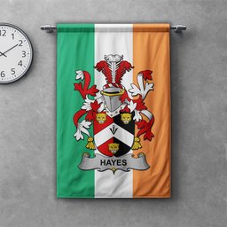 ScotsTee Shop Irish Hayes Clan Coat of Arms Irish Tartan Gonfalon Flag