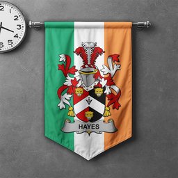 ScotsTee Shop Irish Hayes Clan Coat of Arms Irish Tartan Gonfalon Flag