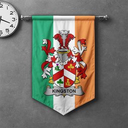 ScotsTee Shop Irish Kingston Clan Coat of Arms Irish Tartan Gonfalon Flag