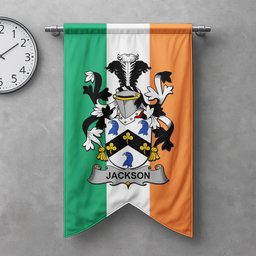ScotsTee Shop Irish Jackson Clan Coat of Arms Irish Tartan Gonfalon Flag