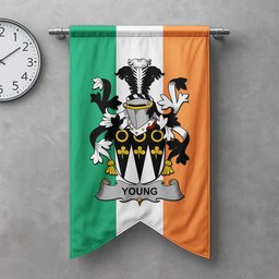ScotsTee Shop Irish Young Clan Coat of Arms Irish Tartan Gonfalon Flag