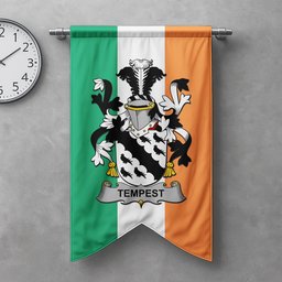 ScotsTee Shop Irish Tempest Clan Coat of Arms Irish Tartan Gonfalon Flag