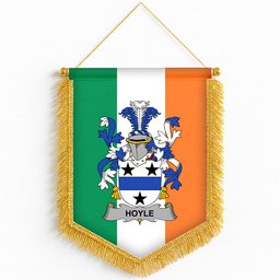 ScotsTee Shop Irish Hoyle or McIlhoyle Coat of Arms Ireland Flag and Irish Family Crest Green, White and Orange Wall Hanging Banner Gonfalon