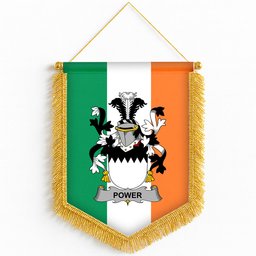 ScotsTee Shop Irish Power Coat of Arms Ireland Flag and Irish Family Crest Green, White and Orange Wall Hanging Banner Gonfalon