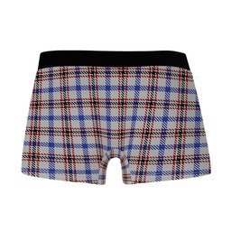ScotsTee Shop Scottish Boswell Clan Highland Kilt Sporran Tartan Boxer Briefs