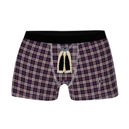 ScotsTee Shop Scottish Cameron of Erracht Dress Clan Highland Kilt Sporran Tartan Boxer Briefs