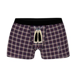 ScotsTee Shop Scottish Cameron of Erracht Dress Clan Highland Kilt Sporran Tartan Boxer Briefs