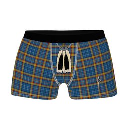 ScotsTee Shop Scottish Healy Suspect Clan Highland Kilt Sporran Tartan Boxer Briefs