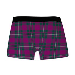 ScotsTee Shop Scottish Gregor Hunting Modern Clan Crest Highland Kilt Sporran Tartan Boxer Briefs