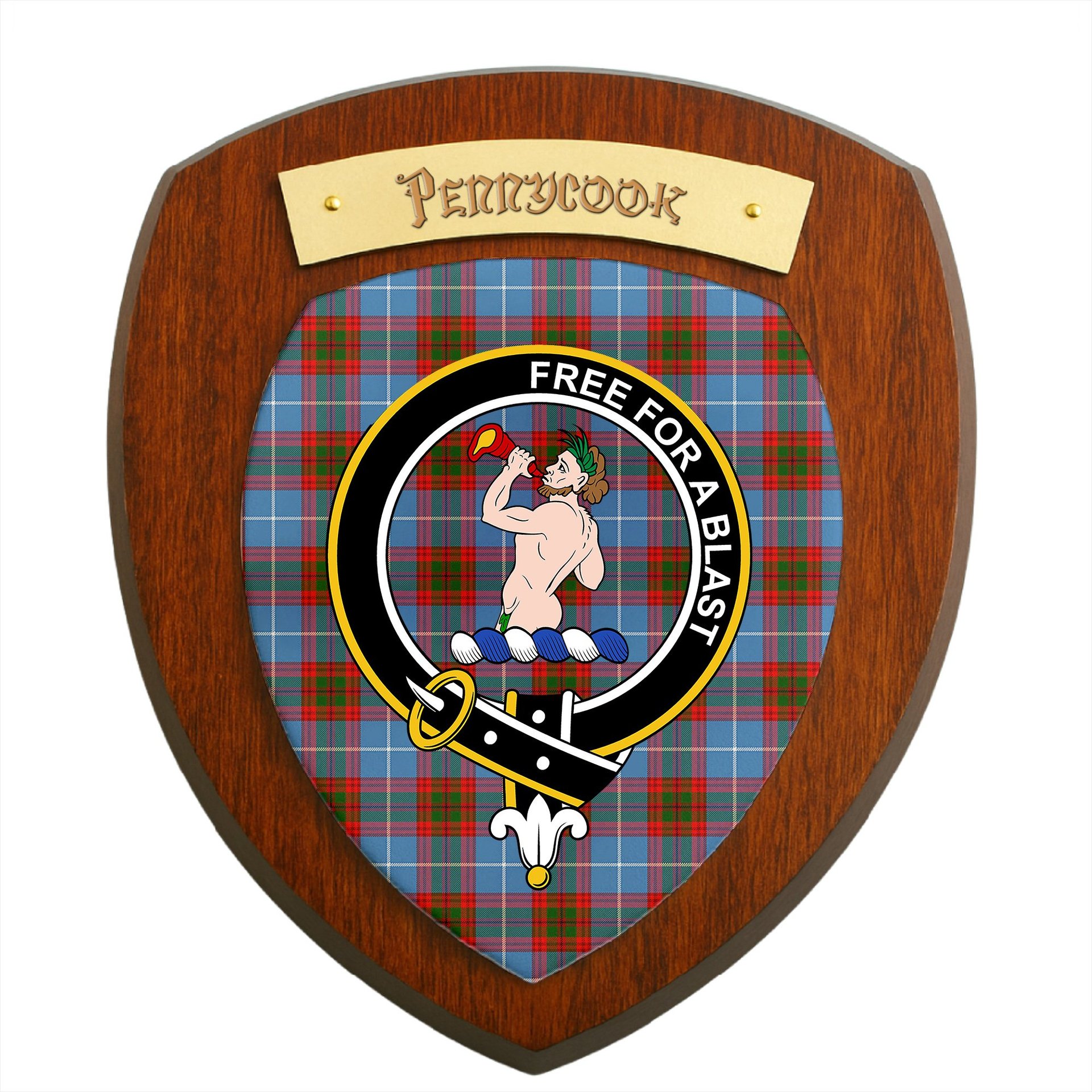 ScotsTee Shop Scottish Pennycook Clan Crest Scottish Tartan Wooden Wall Plaque