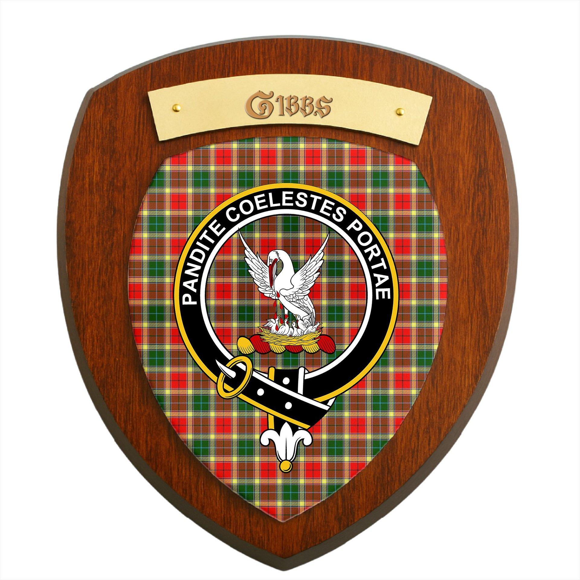 ScotsTee Shop Scottish Gibbs Clan Crest Scottish Tartan Wooden Wall Plaque