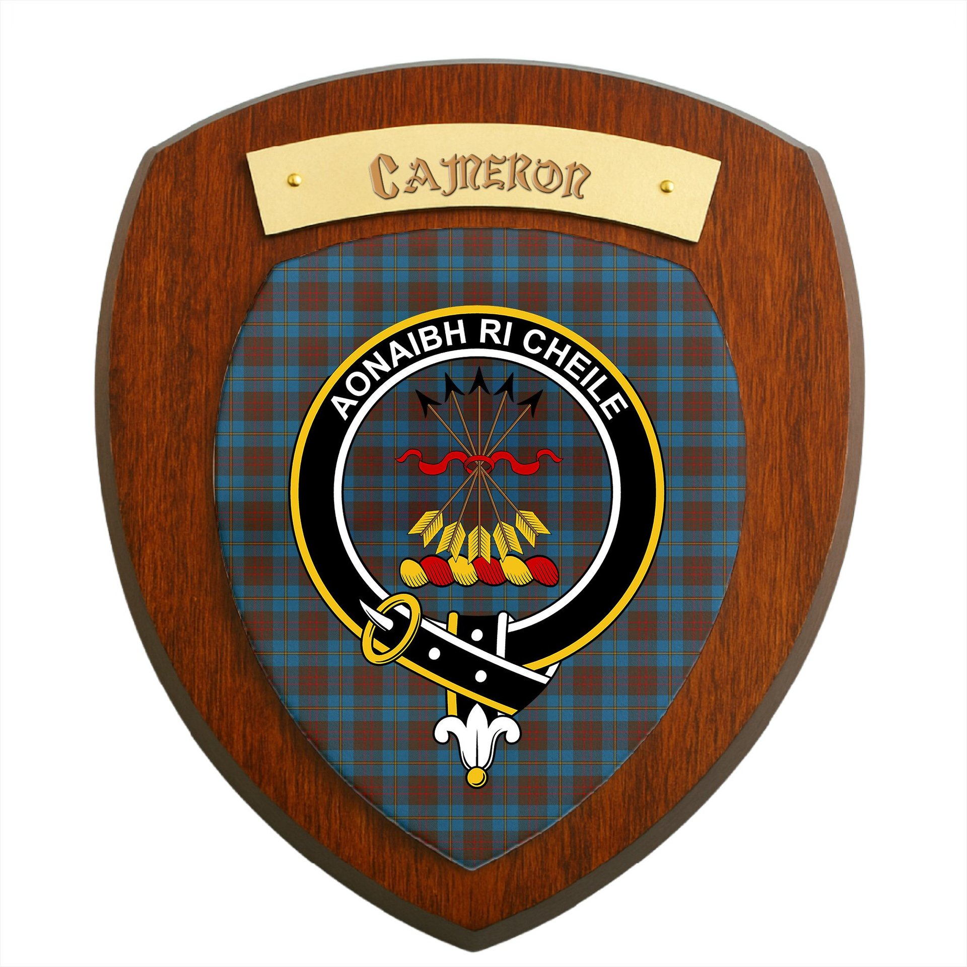 ScotsTee Shop Scottish Cameron Hunting Clan Crest Scottish Tartan Wooden Wall Plaque