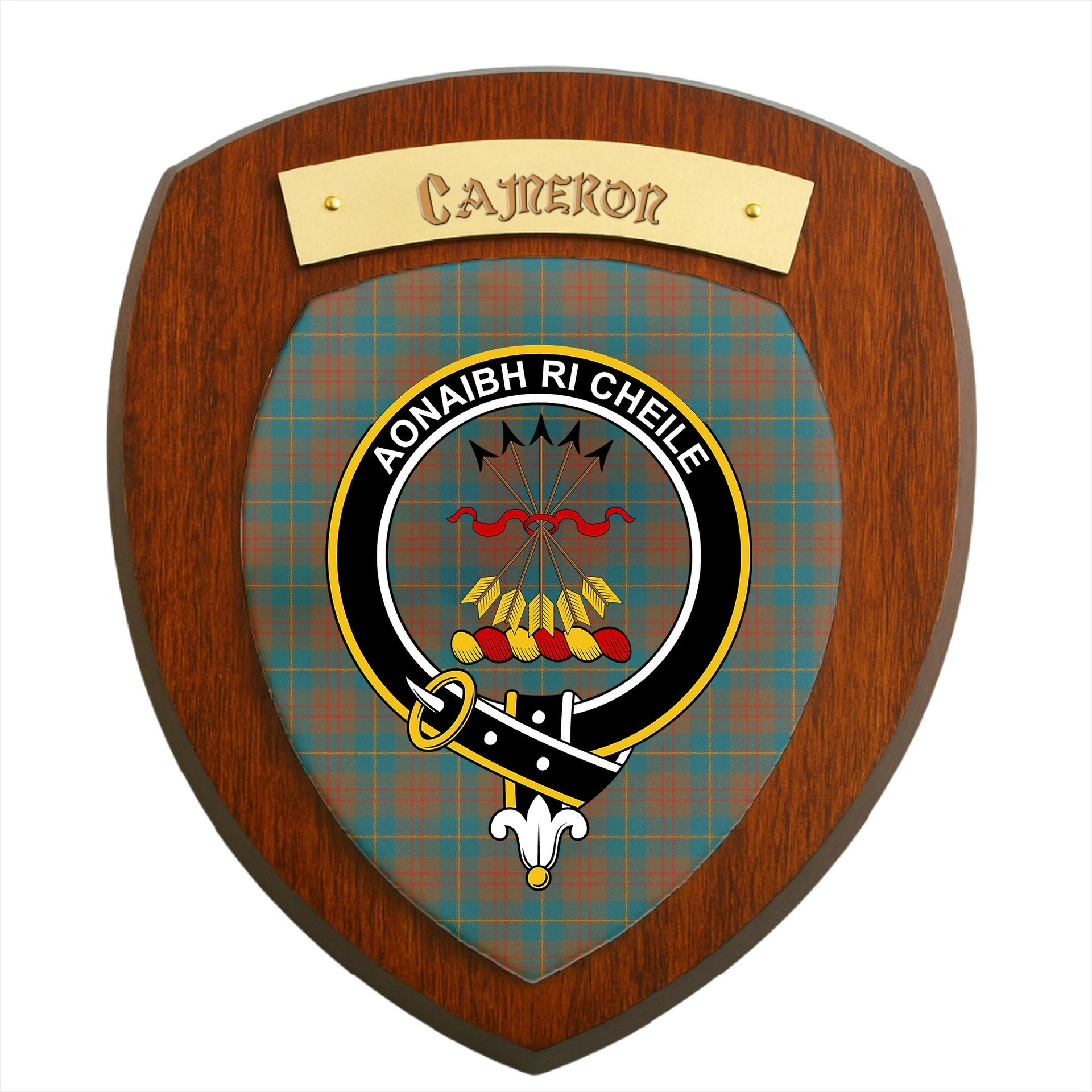 ScotsTee Shop Scottish Cameron Hunting Ancient Clan Crest Scottish Tartan Wooden Wall Plaque