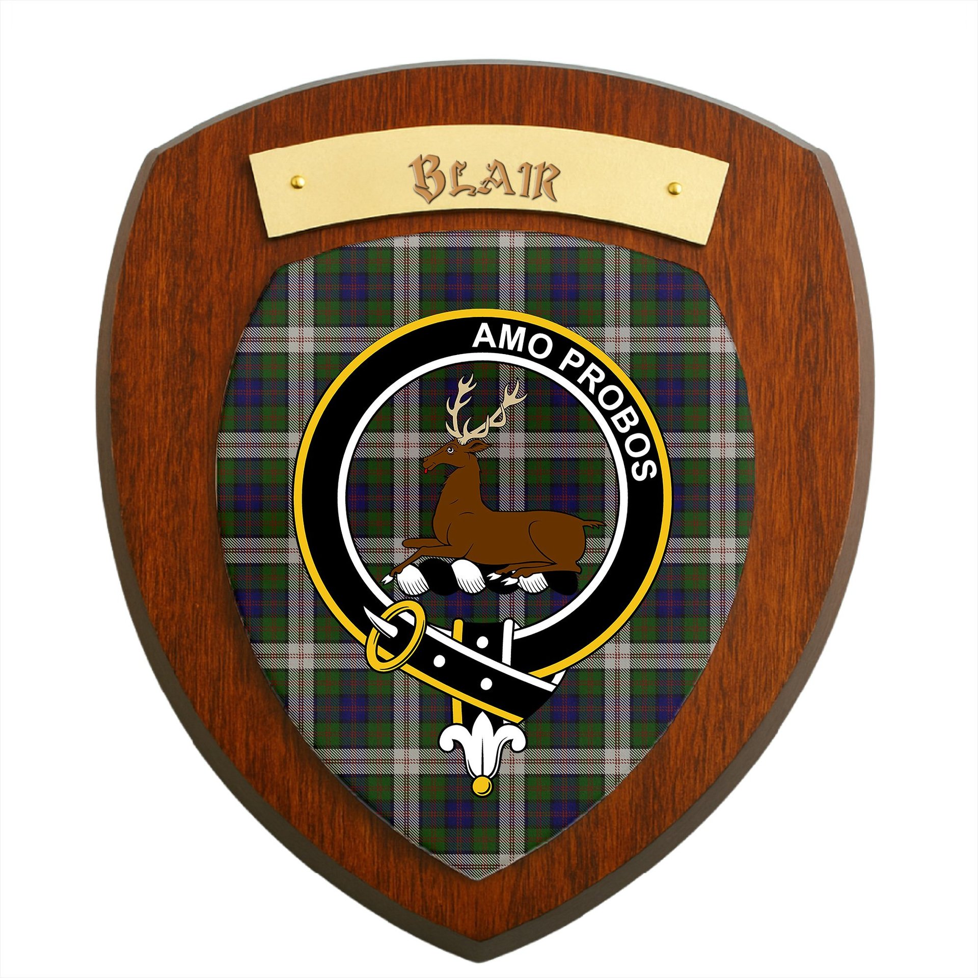 ScotsTee Shop Scottish Blair Dress Clan Crest Scottish Tartan Wooden Wall Plaque