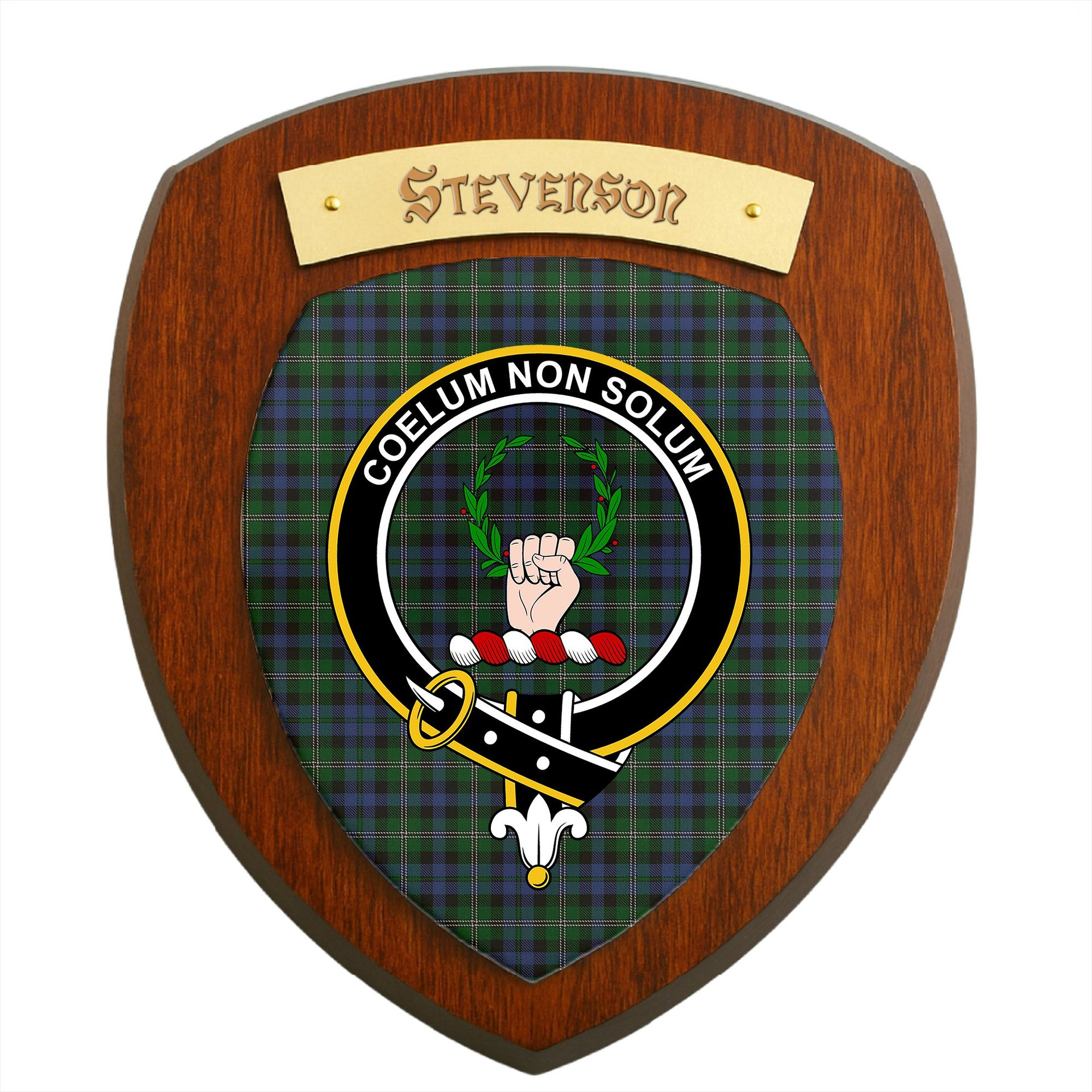 ScotsTee Shop Scottish Stevenson Hunting Clan Crest Scottish Tartan Wooden Wall Plaque