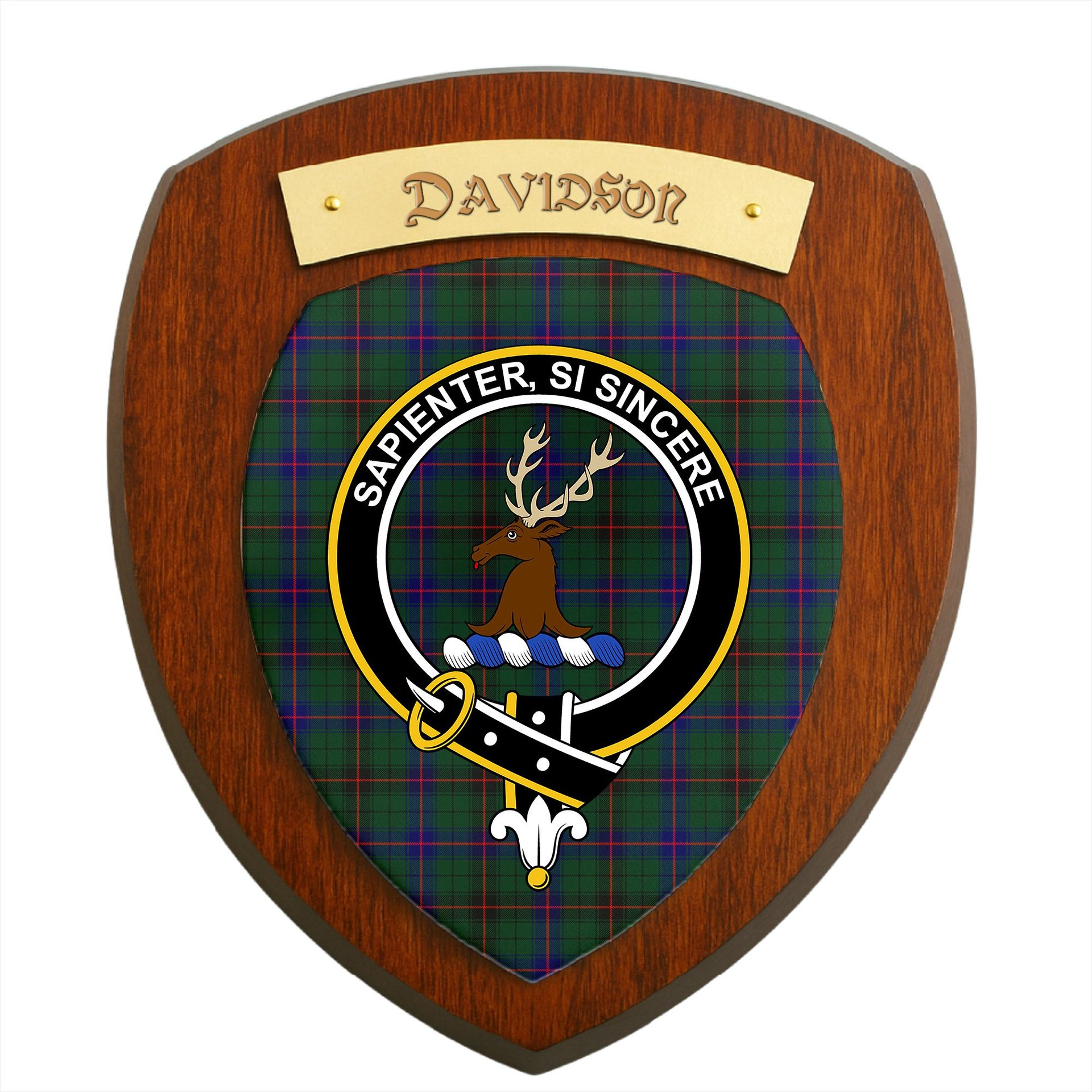 ScotsTee Shop Scottish Davidson Modern Clan Crest Scottish Tartan Wooden Wall Plaque
