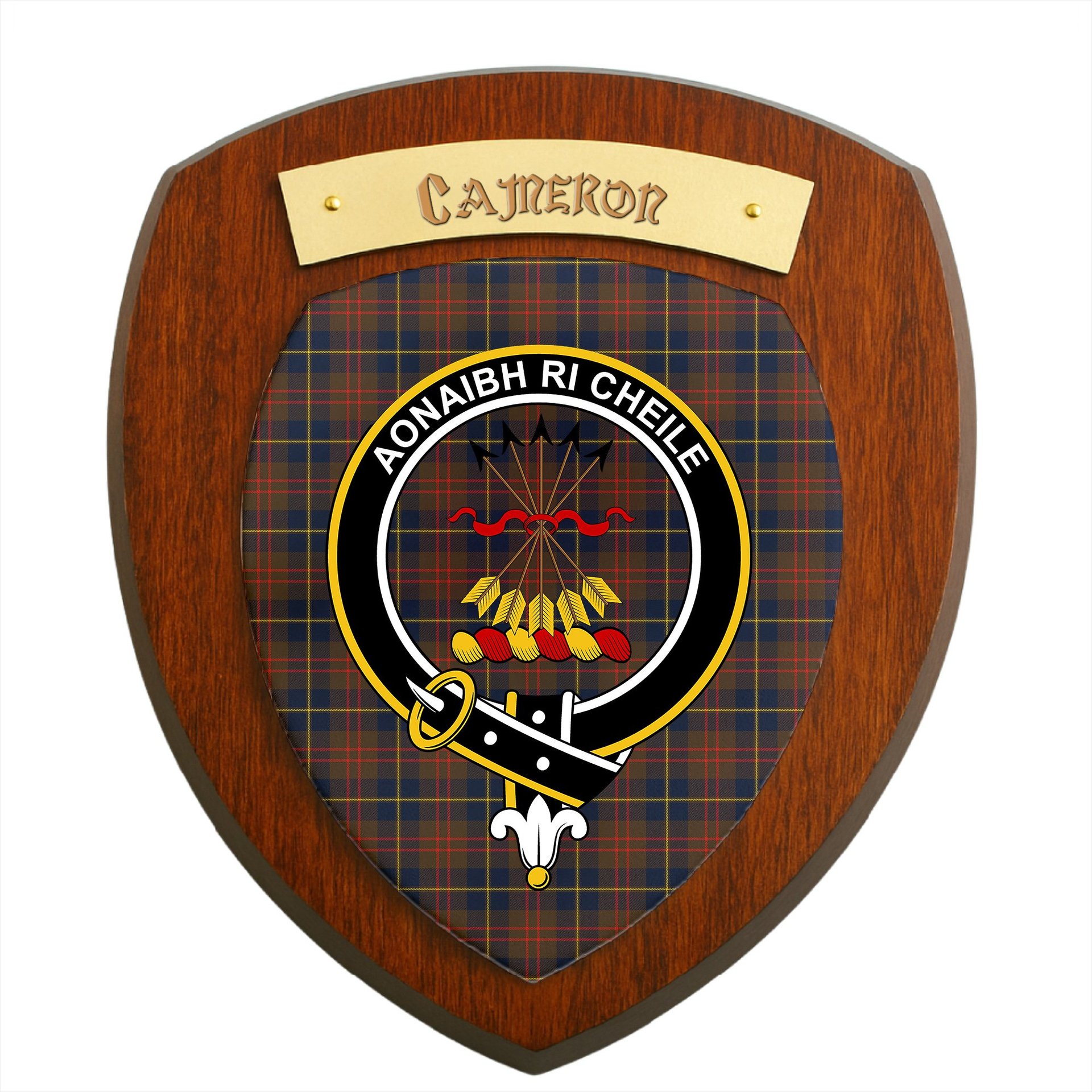 ScotsTee Shop Scottish Cameron Hunting Modern Clan Crest Scottish Tartan Wooden Wall Plaque