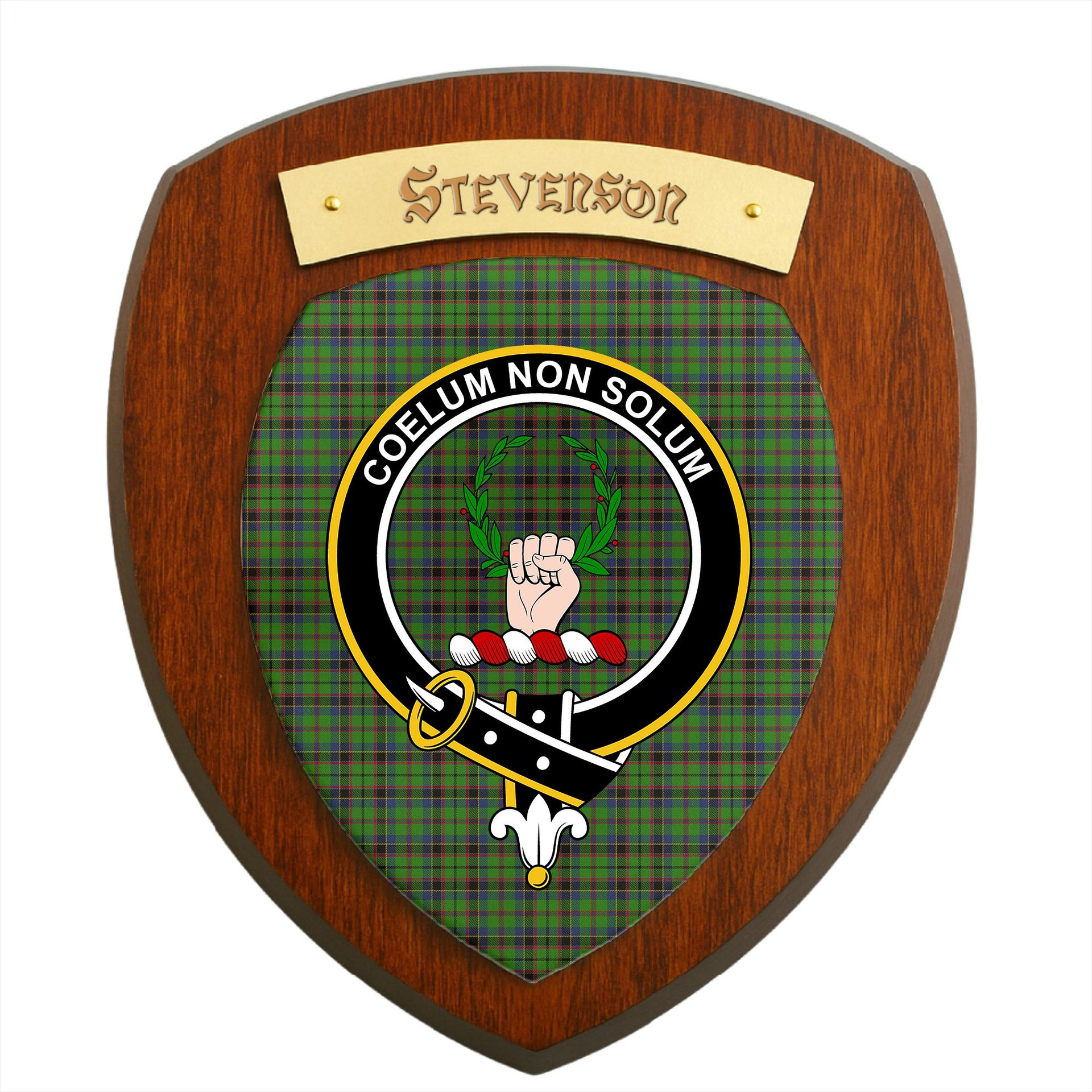 ScotsTee Shop Scottish Stevenson Green Clan Crest Scottish Tartan Wooden Wall Plaque