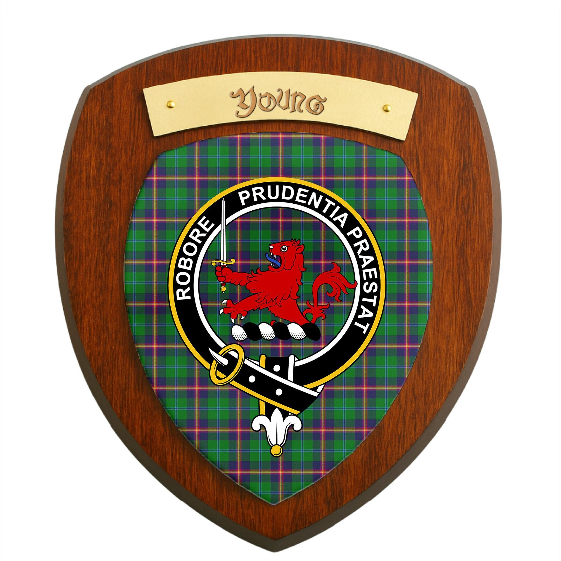 ScotsTee Shop Scottish Young Modern SC Clan Crest Scottish Tartan Wooden Wall Plaque