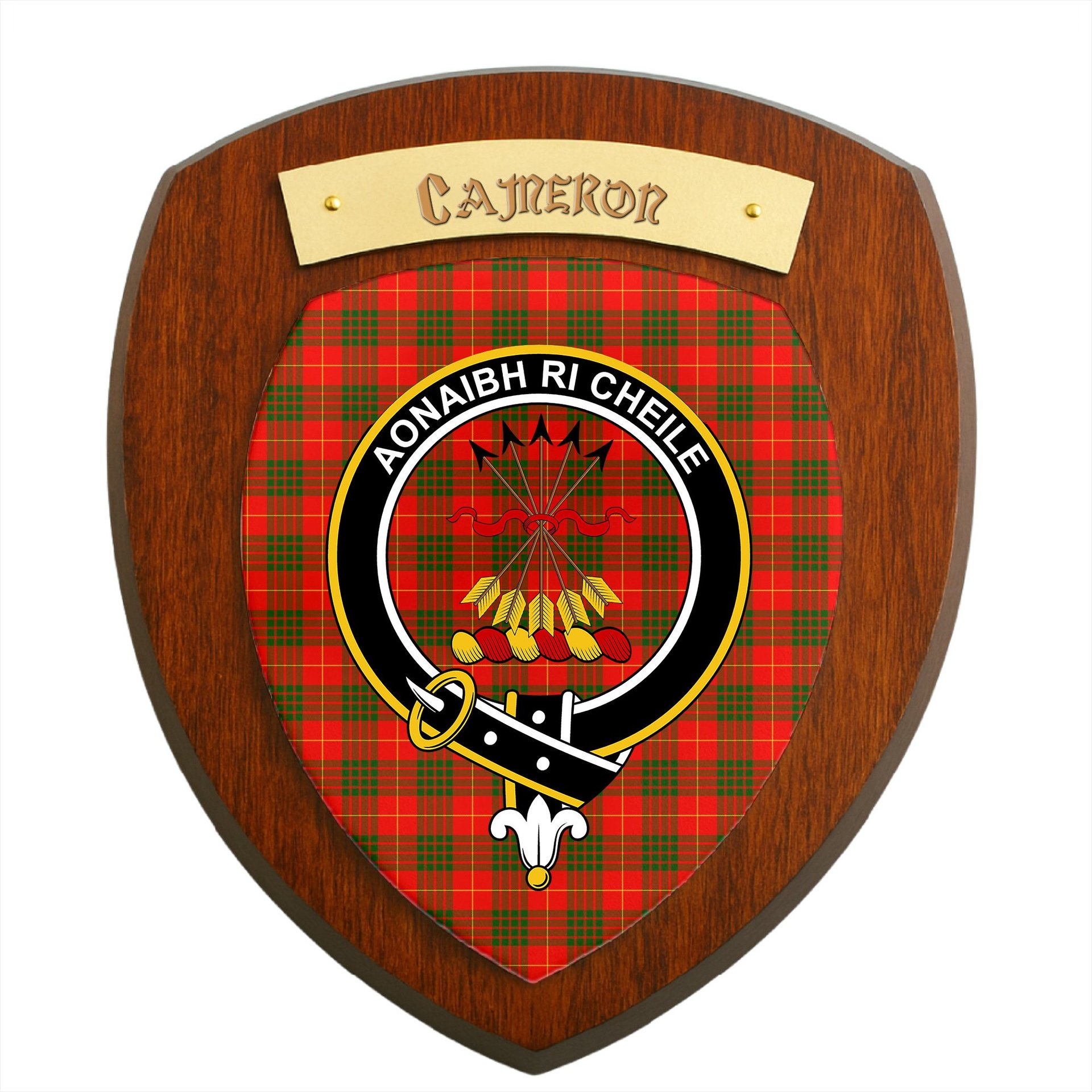 ScotsTee Shop Scottish Cameron Modern Clan Crest Scottish Tartan Wooden Wall Plaque