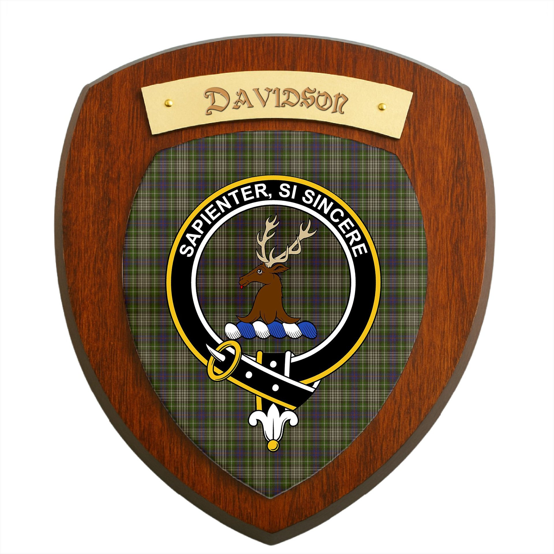 ScotsTee Shop Scottish Davidson Tulloch Dress Clan Crest Scottish Tartan Wooden Wall Plaque