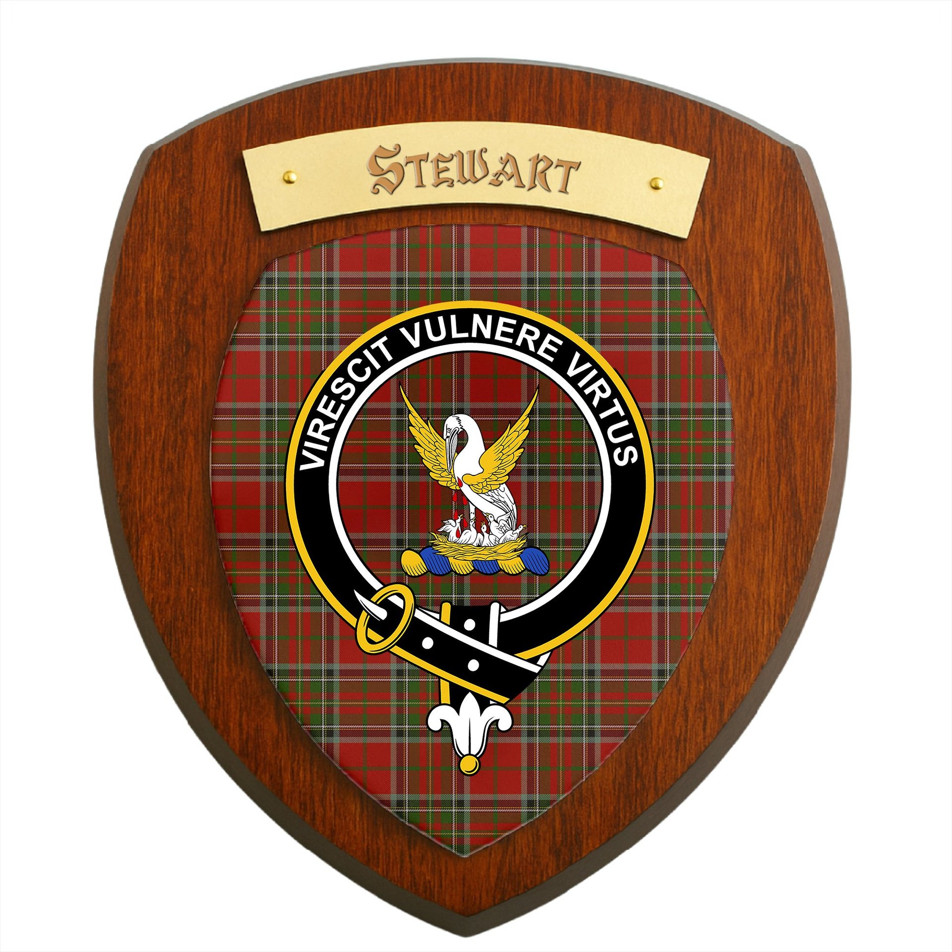 ScotsTee Shop Scottish Stewart of Galloway Clan Crest Scottish Tartan Wooden Wall Plaque