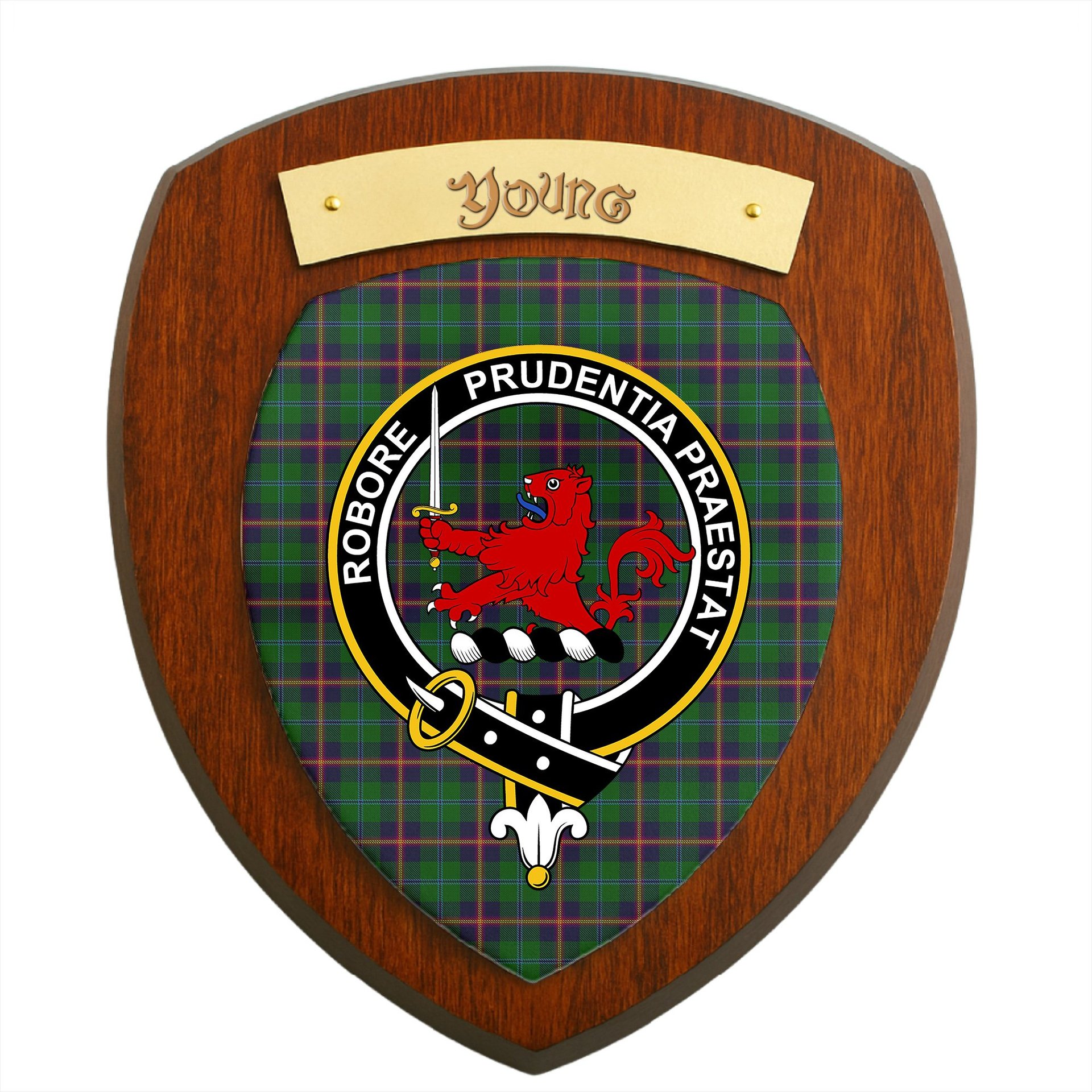 ScotsTee Shop Scottish Young Clan Crest Scottish Tartan Wooden Wall Plaque