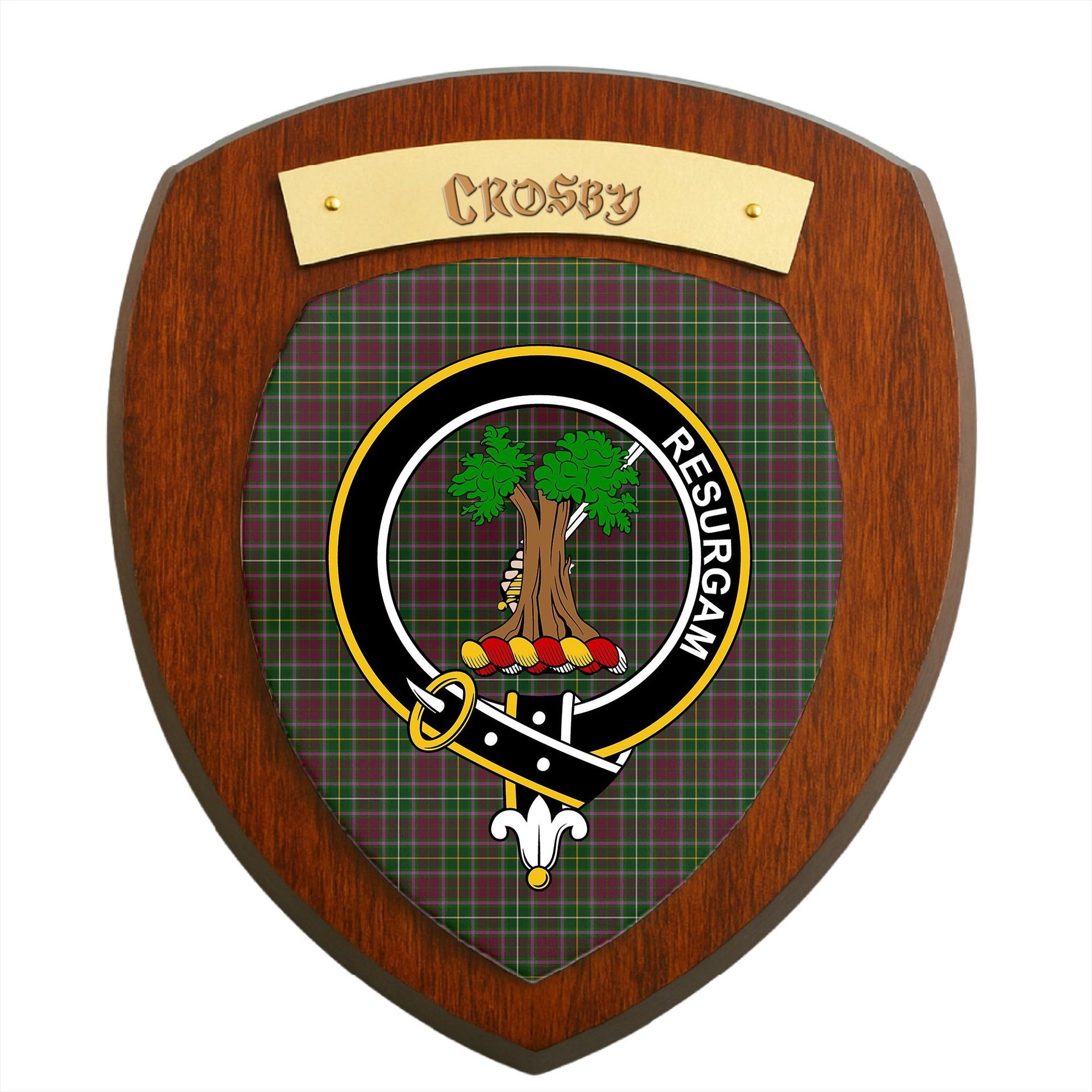 ScotsTee Shop Scottish Crosby Clan Crest Scottish Tartan Wooden Wall Plaque