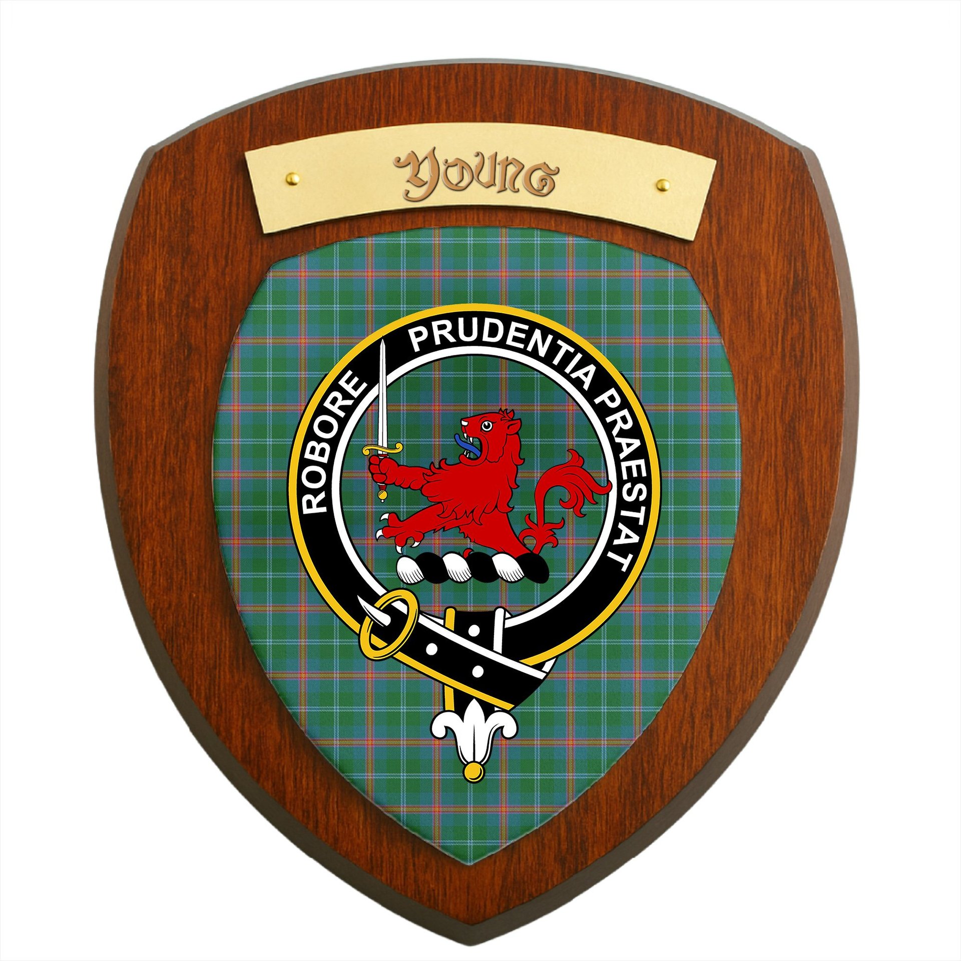 ScotsTee Shop Scottish Young Ancient Clan Clan Crest Scottish Tartan Wooden Wall Plaque