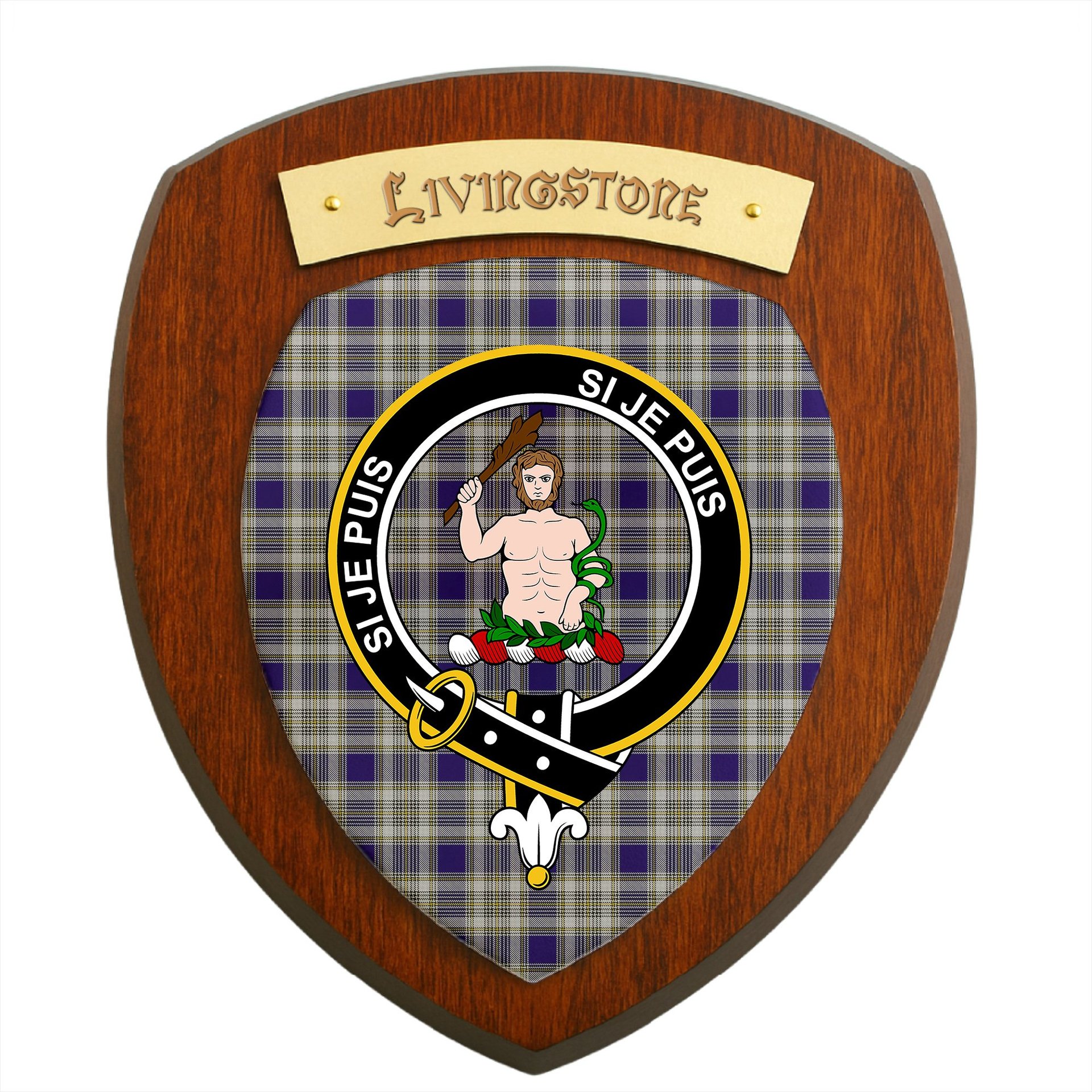 ScotsTee Shop Scottish Livingstone Dress Clan Crest Scottish Tartan Wooden Wall Plaque