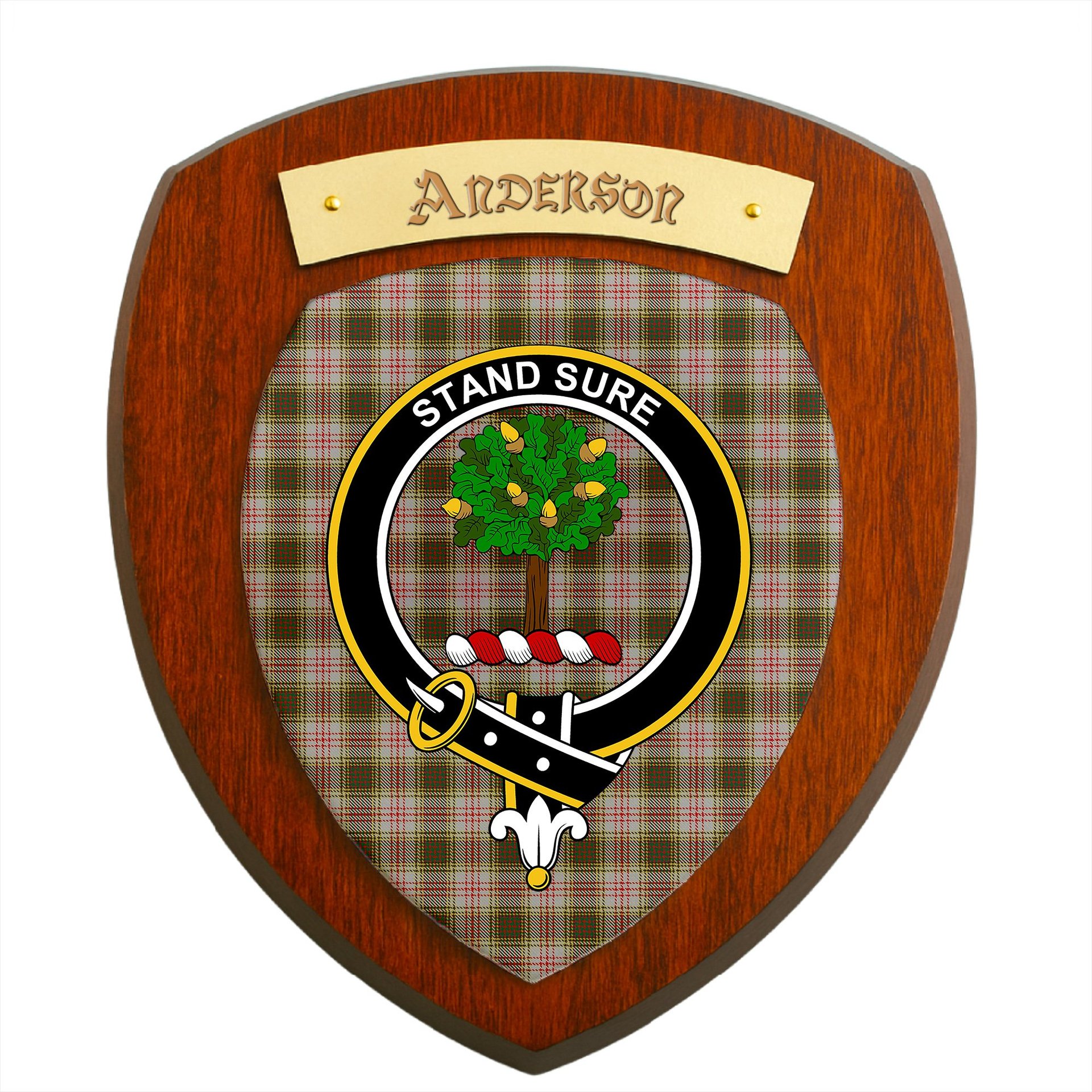 ScotsTee Shop Scottish Anderson Dress Clan Crest Scottish Tartan Wooden Wall Plaque
