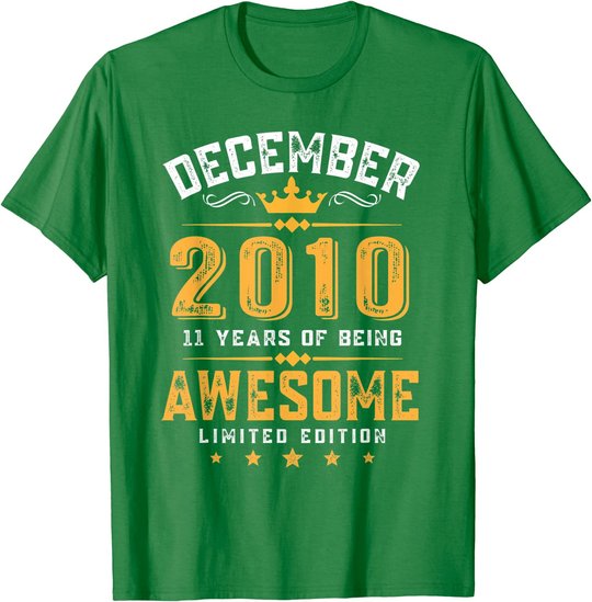 11th Birthday Gift 11 Year Old Awesome Since December 2010 T-Shirt