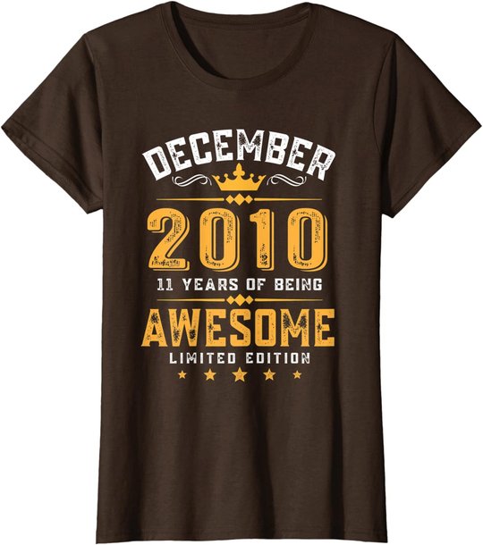 11th Birthday Gift 11 Year Old Awesome Since December 2010 T-Shirt