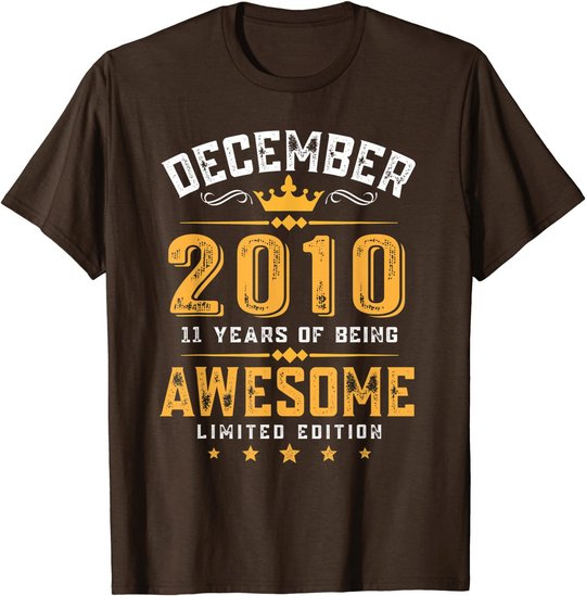 11th Birthday Gift 11 Year Old Awesome Since December 2010 T-Shirt
