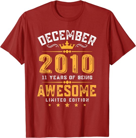 11th Birthday Gift 11 Year Old Awesome Since December 2010 T-Shirt