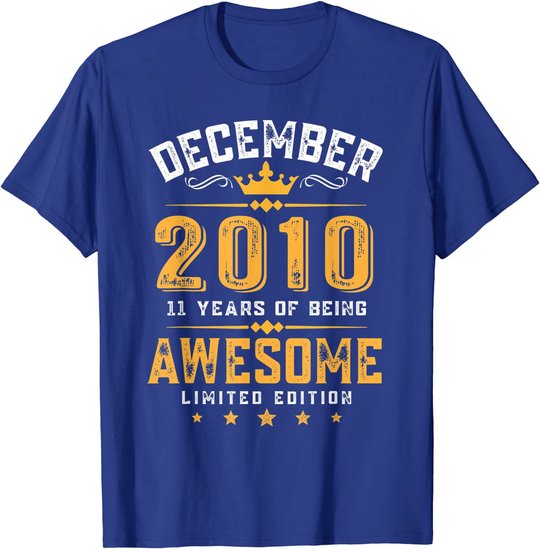 11th Birthday Gift 11 Year Old Awesome Since December 2010 T-Shirt