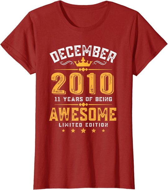 11th Birthday Gift 11 Year Old Awesome Since December 2010 T-Shirt