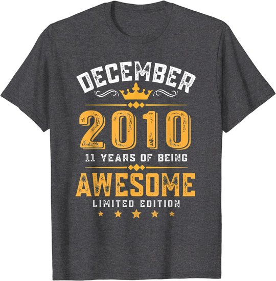 11th Birthday Gift 11 Year Old Awesome Since December 2010 T-Shirt