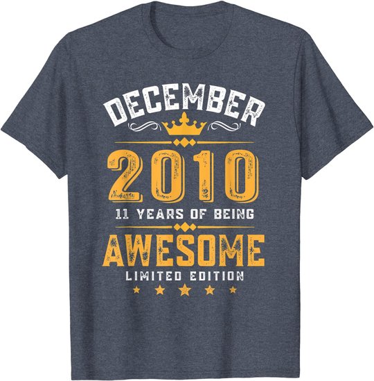11th Birthday Gift 11 Year Old Awesome Since December 2010 T-Shirt