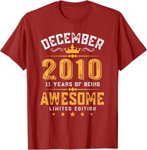 11th Birthday Gift 11 Year Old Awesome Since December 2010 T-Shirt