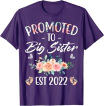 Promoted to Big Sister I am Going to be a Big Sister 2022 T-Shirt
