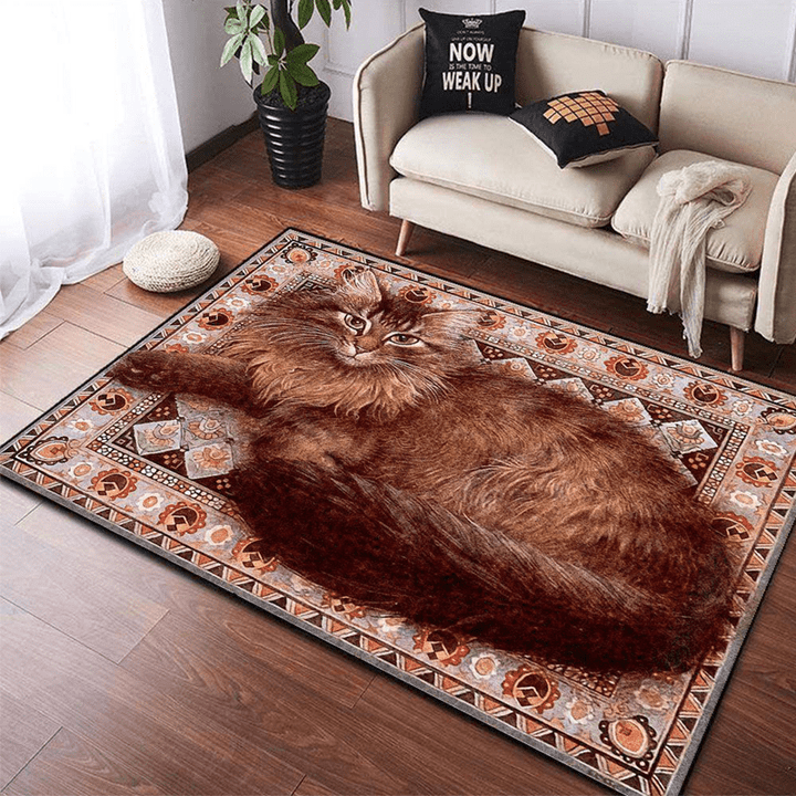 Cat 3 Large Area Rugs Highlight For Home, Living Room & Outdoor Area Rug