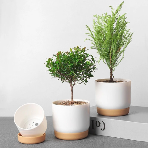 Automatic water - Absorbing Pots Green Plants