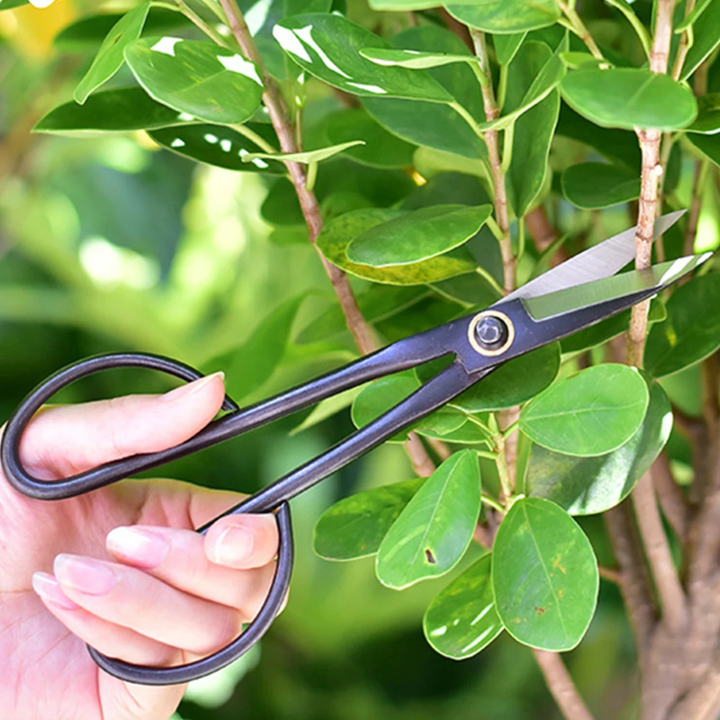 Long Handle Scissors Gardening Plant Branch Shears