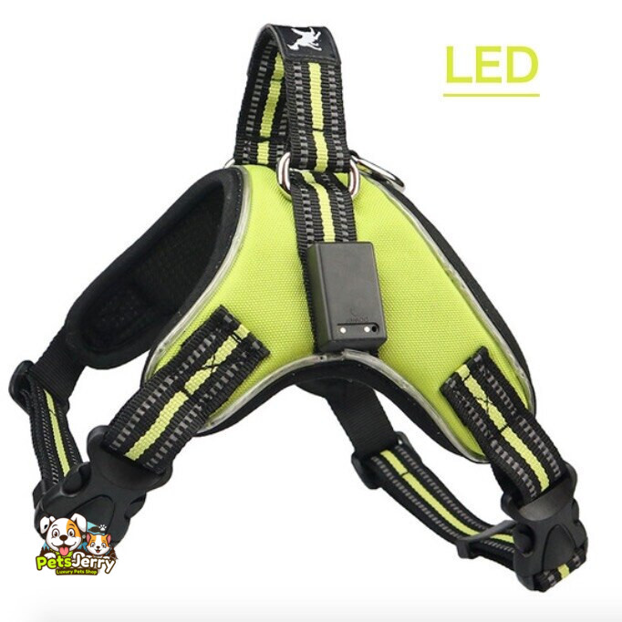 Rechargeable LED Harness for Pets | LED dog harness