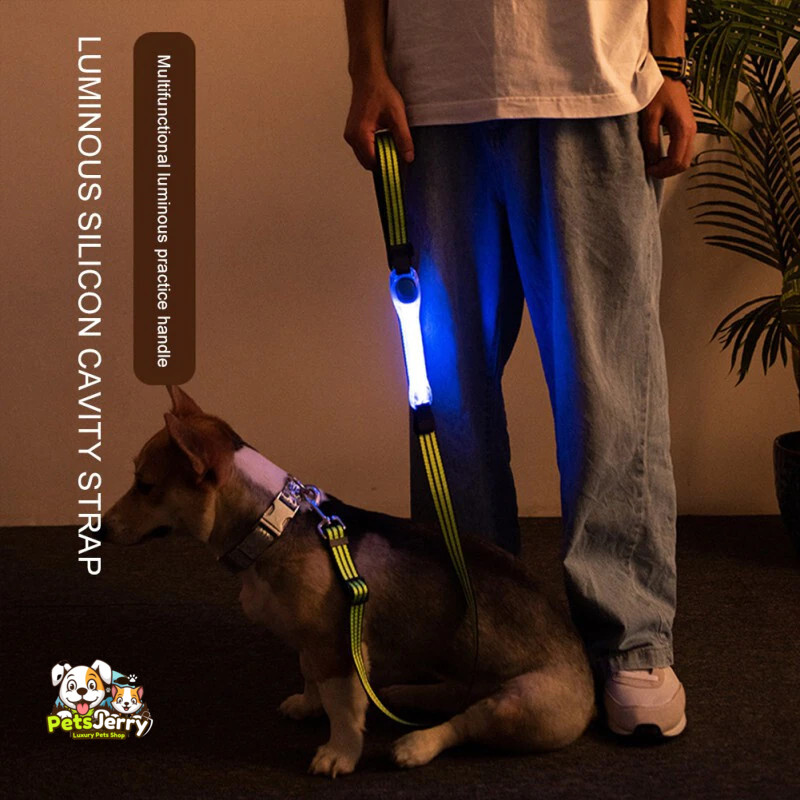 LED Dog Collars | Dog Accessories