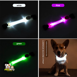 LED Dog Collars | Dog Accessories