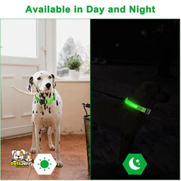 LED Dog Collar: Make Your Dog Visible in the Dark | Safety Dog Collar
