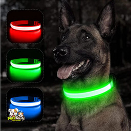 LED Dog Collar: Make Your Dog Visible in the Dark | Safety Dog Collar